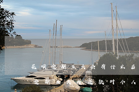花呗逾期五天会有什么后果?,有奖问答-花呗逾期五天内还款对个人征信有影响吗