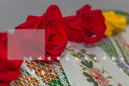 花呗逾期五天会有问题么(花呗逾期五天会有问题么)