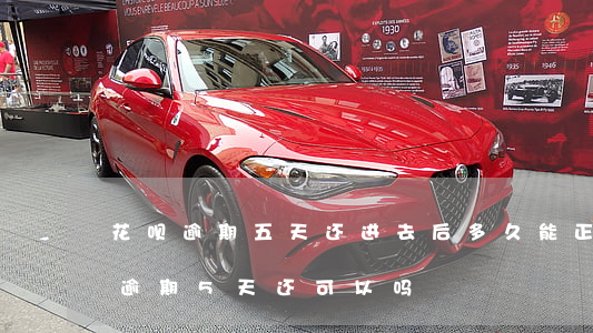 花呗逾期五天还进去后多久能正常使用?（花呗逾期5天还可以吗）