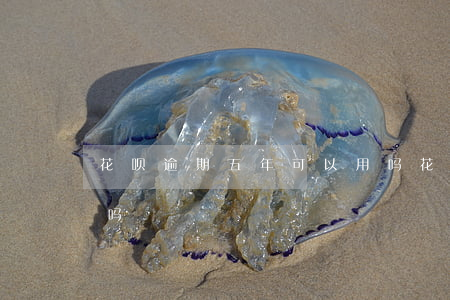 花呗逾期五年可以用吗(花呗逾期五年可以用吗)