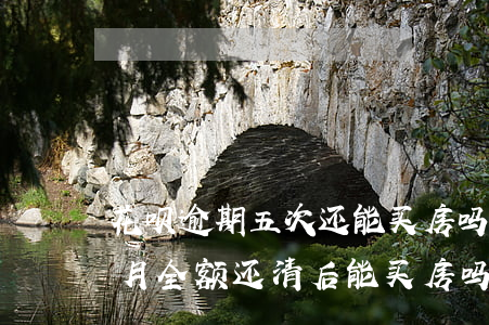 花呗逾期五次还能买房吗(花呗借呗逾期三个月全额还清后能买房吗?)