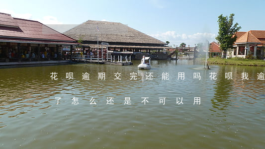 花呗逾期交完还能用吗(花呗我逾期现在还完了怎么还是不可以用?)