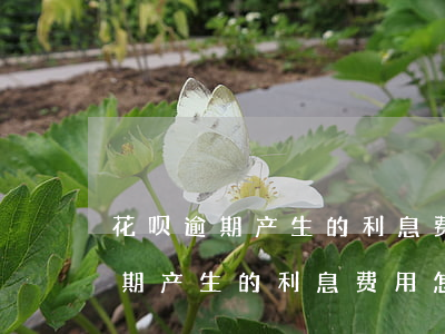 花呗逾期产生的利息费用怎么算的-花呗逾期产生的利息费用怎么算的呢