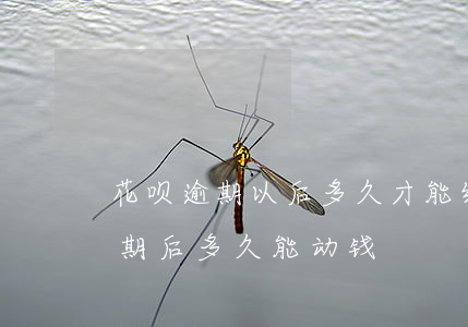 花呗逾期以后,多久才能继续正常使用（花呗逾期后多久能动钱）