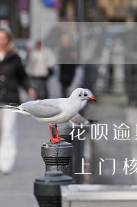 花呗逾期仨月上门要钱(蚂蚁花呗逾期三个月上门核实是真的吗)