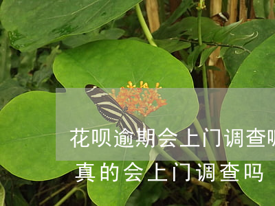 花呗逾期会上门调查嘛(支付宝花呗借呗逾期真的会上门调查吗)