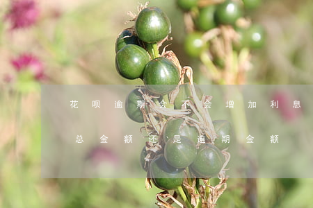 花呗逾期会不会增加利息(花呗逾期利息是按总金额还是逾期金额)