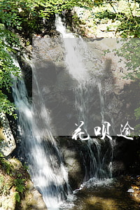 花呗逾期会不会被盗刷(花呗会被盗刷吗)