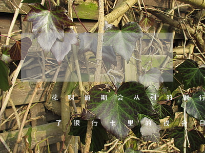 花呗逾期会从别的银行卡里扣钱吗(花呗逾期了银行卡里的钱会自动扣除么)