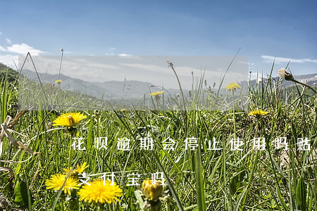 花呗逾期会停止使用吗贴吧 花呗逾期会停用支付宝吗