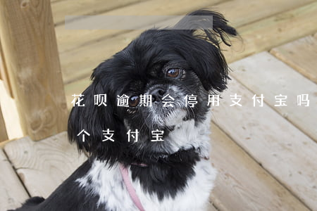 花呗逾期会停用支付宝吗（花呗逾期被停用换个支付宝）