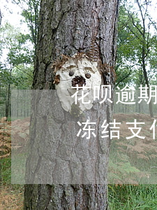 花呗逾期会冻结支付宝零钱吗-花呗逾期会冻结支付宝零钱吗