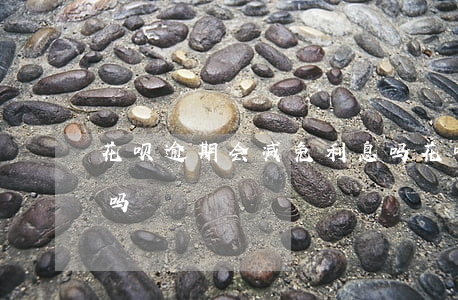 花呗逾期会减免利息吗(花呗逾期会减免利息吗)