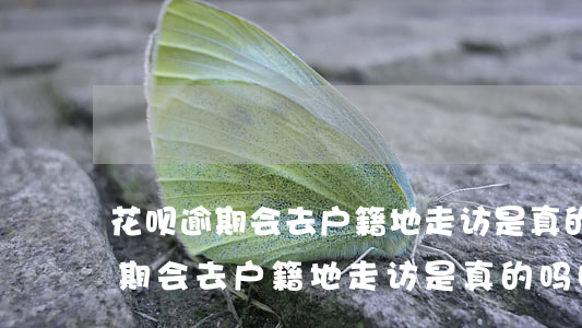 花呗逾期会去户籍地走访是真的吗-花呗逾期会去户籍地走访是真的吗吗
