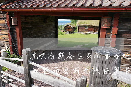 花呗逾期会在页面显示吗(花呗没有逾期过,突然显示当前无法使用花呗购物)