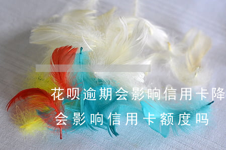 花呗逾期会影响信用卡降额吗贴吧(花呗逾期会影响信用卡额度吗)