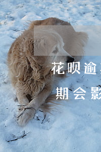 花呗逾期会影响我大哥考公务员吗-花呗逾期会影响我大哥考公务员吗知乎