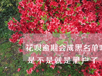 花呗逾期会成黑名单吗-花呗如果逾期征信是不是就是黑户了