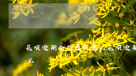 花呗逾期会打通讯录么(花呗逾期会打通讯录么)
