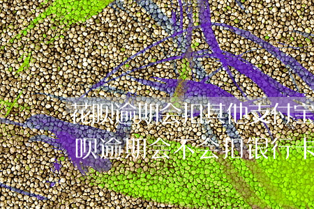 花呗逾期会扣其他支付宝钱吗(支付宝借呗花呗逾期会不会扣银行卡里的钱)