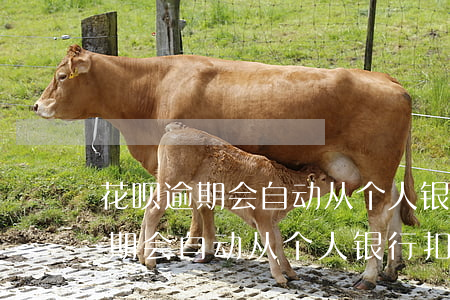 花呗逾期会自动从个人银行扣钱吗-花呗逾期会自动从个人银行扣钱吗怎么办