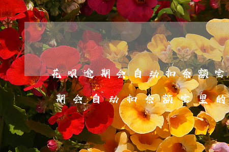 花呗逾期会自动扣余额宝里的钱吗-花呗逾期会自动扣余额宝里的钱吗安全吗