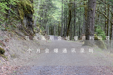 花呗逾期会被爆资料吗(花呗欠款两万逾期三个月会爆通讯录吗)