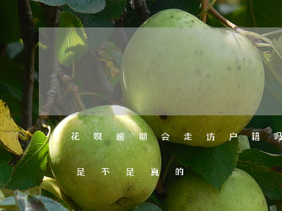 花呗逾期会走访户籍吗(花呗说会走访户籍地是不是真的)