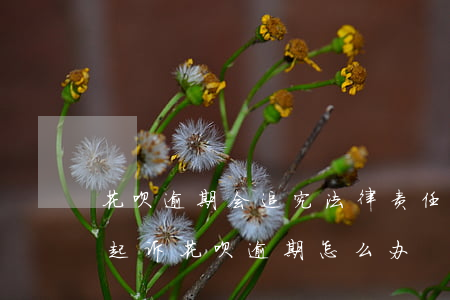 花呗逾期会追究法律责任(花呗逾期多久会被起诉?花呗逾期怎么办)