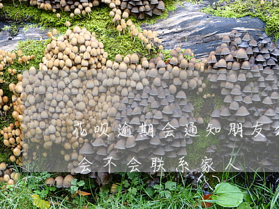 花呗逾期会通知朋友么(支付宝逾期花呗逾期会不会联系家人)