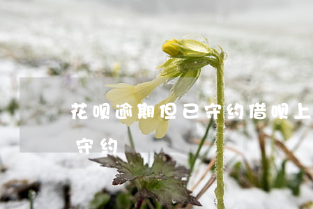 花呗逾期但已守约 借呗上为什么都是逾期后守约