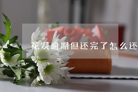 花呗逾期但还完了怎么还不能用-