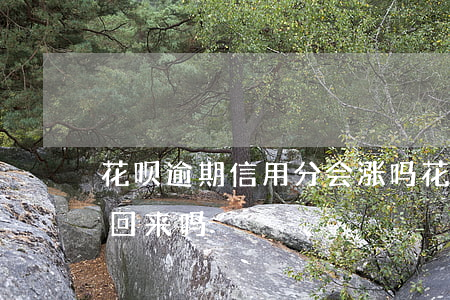 花呗逾期信用分会涨吗(花呗还了信用分能涨回来吗)
