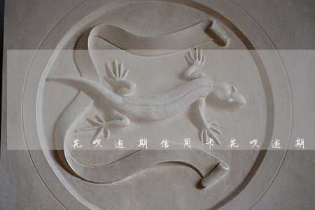 花呗 逾期 信用卡(花呗逾期信用卡能办出来吗)
