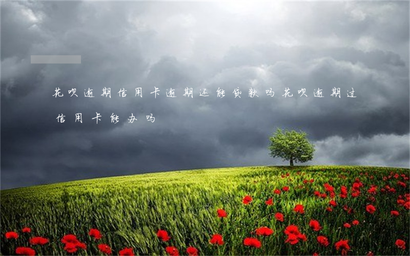 花呗逾期信用卡逾期还能贷款吗(花呗逾期过信用卡能办吗)