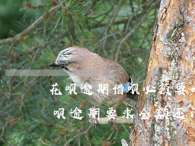 花呗逾期借呗必须要一次性还清吗-花呗借呗逾期要求全额还清,没能力偿还怎么办