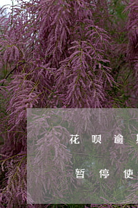 花呗逾期停用了多久回复(花呗逾期五天了被暂停使用要多久才能恢复)