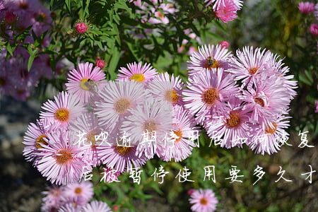 花呗逾期停用后如何恢复(花呗逾期了还了之后被暂停使用要多久才能恢复)