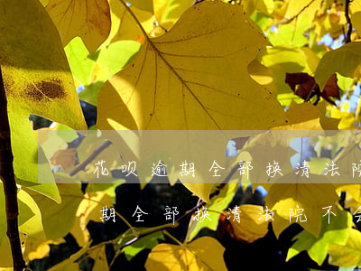 花呗逾期全部换清法院不会找事吧-花呗逾期全部换清法院不会找事吧怎么办