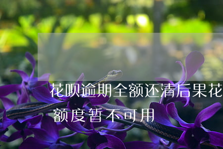 花呗逾期全额还清后果(花呗逾期过,还清了,有额度,暂不可用)