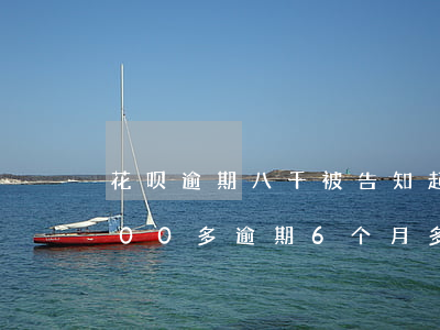 花呗逾期八千被告知起诉(支付宝花呗欠2000多逾期6个月多会起诉我)