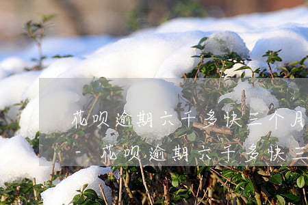 花呗逾期六千多快三个月了打电话说要上门-花呗逾期六千多快三个月了打电话说要上门是真的吗