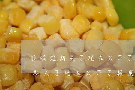 花呗逾期关了现在又开了额度没涨-花呗逾期关了现在又开了额度没涨怎么回事