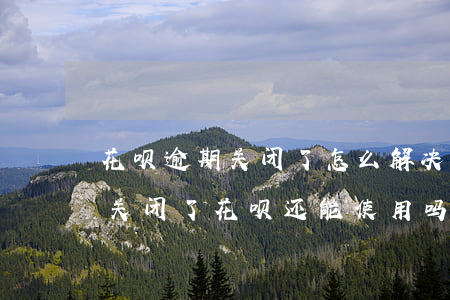 花呗逾期关闭了怎么解决(花呗逾期还款之后关闭了花呗还能使用吗?)