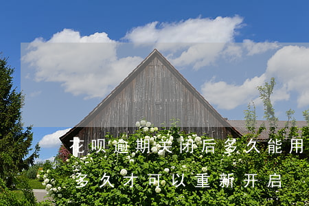 花呗逾期关闭后多久能用(花呗逾期关闭了要多久才可以重新开启)