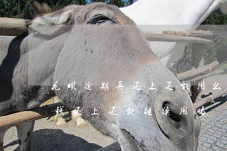 花呗逾期再还上还能用么(花呗逾期很久了把钱还上还能继续用吗)