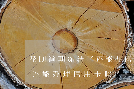 花呗逾期冻结了还能办信用卡吗(花呗逾期了还能办理信用卡吗)