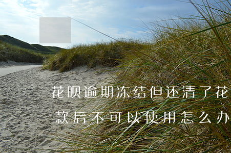 花呗逾期冻结但还清了(花呗逾期花呗冻结还款后不可以使用怎么办)