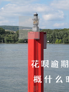 花呗逾期冻结后会解吗(花呗有逾期被冻结,大概什么时候可以解除)