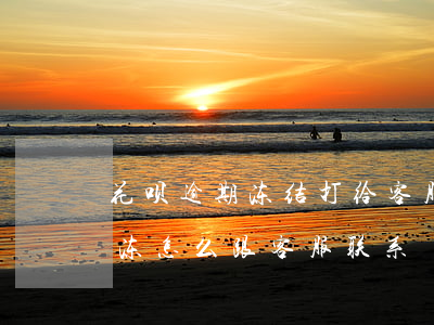 花呗逾期冻结打给客服(花呗被冻住了怎么解冻怎么跟客服联系)